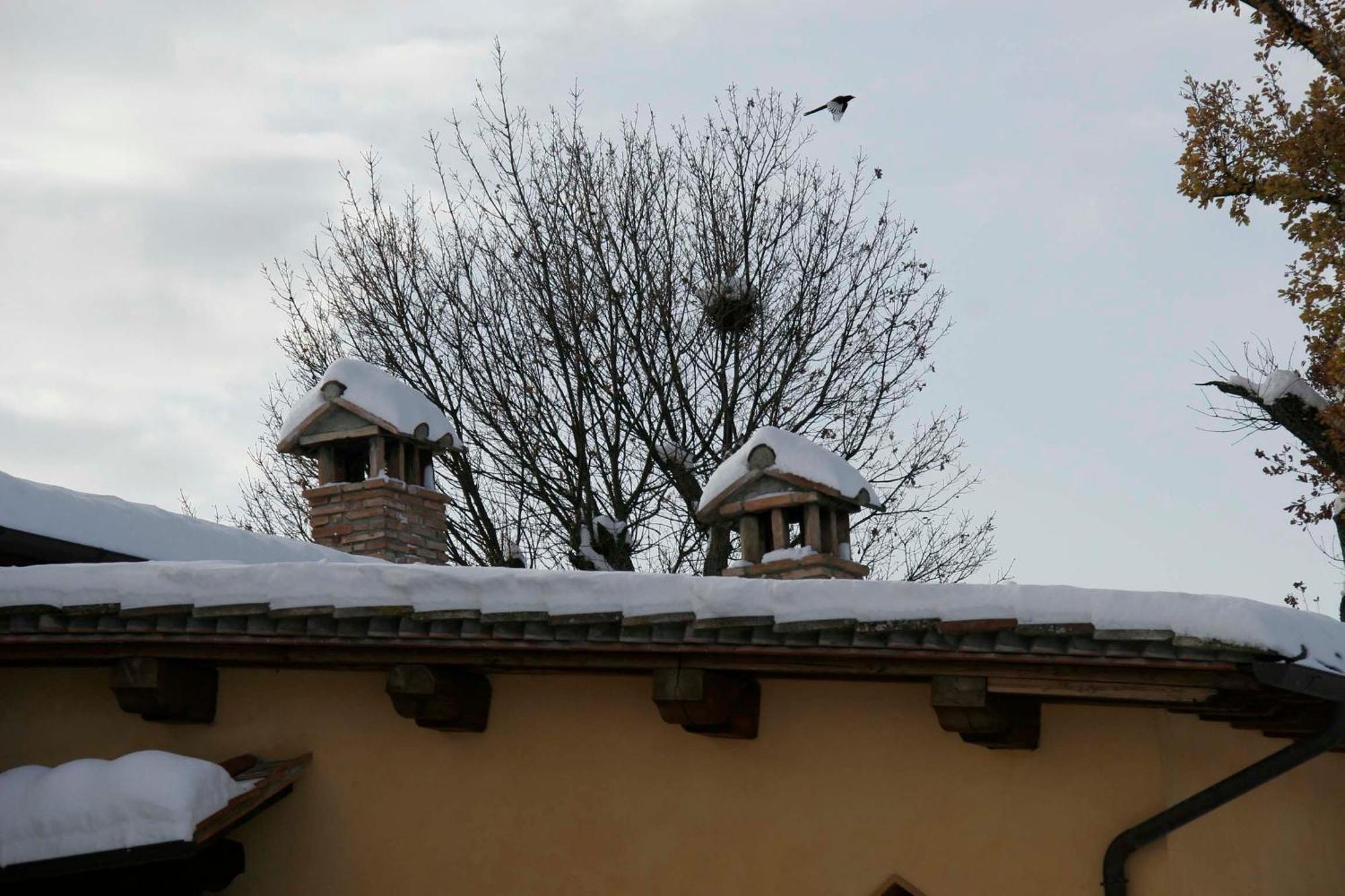 Hostal Il Nido Di Gabbiano Scarperia Exterior foto
